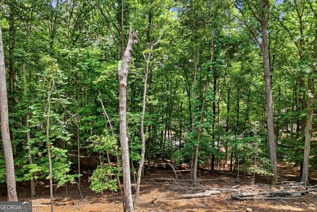 1883 Newport Drive 1868, Ellijay, GA 30540