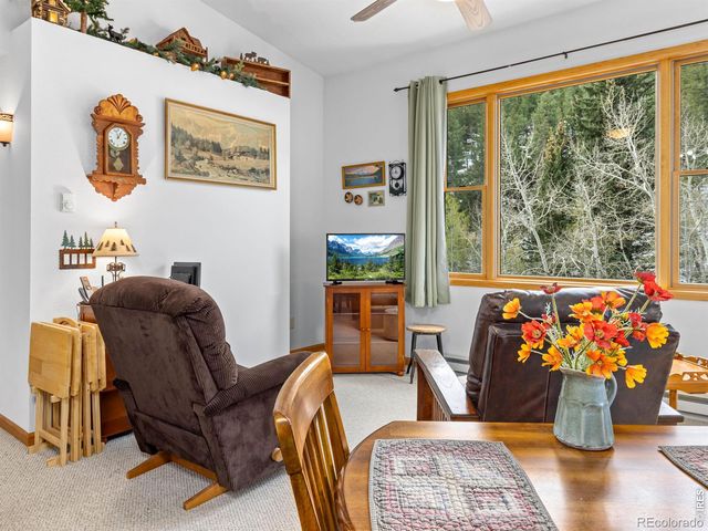 1002 Streamside Drive, Glen Haven, CO 80532