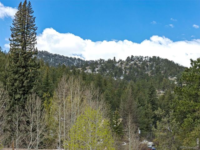 1002 Streamside Drive, Glen Haven, CO 80532