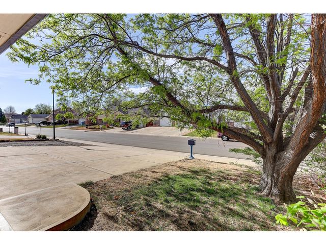 145 Falcon Cir, Mead, CO 80542