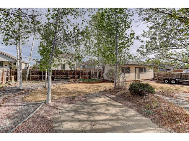 145 Falcon Cir, Mead, CO 80542