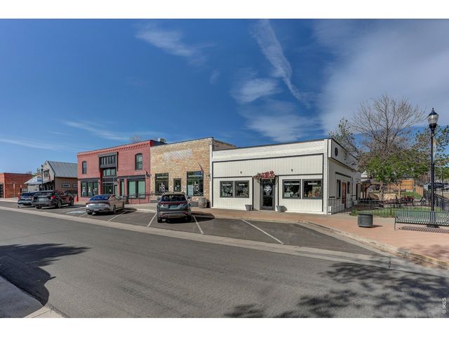 145 Falcon Cir, Mead, CO 80542