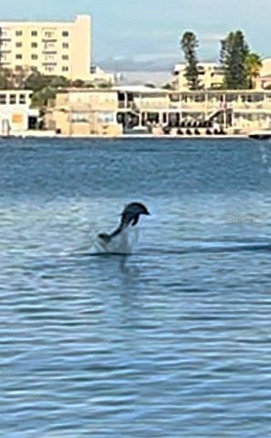 644 ISLAND WAY 101, Clearwater Beach, FL 33767