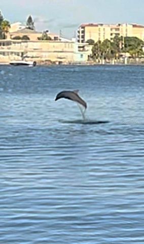 644 ISLAND WAY 101, Clearwater Beach, FL 33767