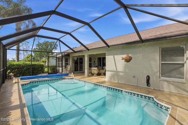 18427 Water Lily Lane, Hudson, FL 34667