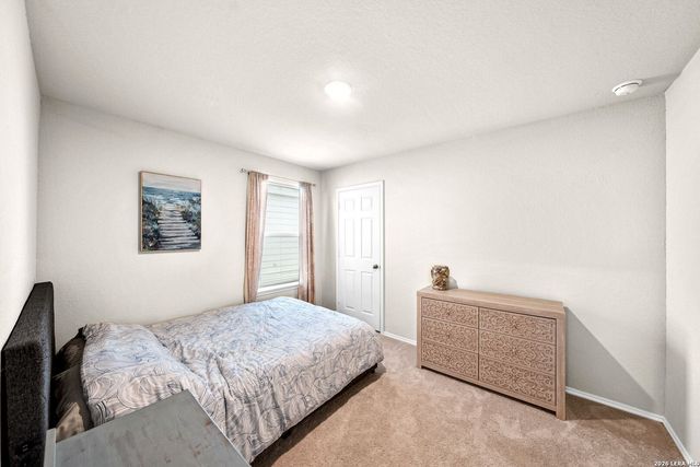 531 Wild Olive Way, San Antonio, TX 78219