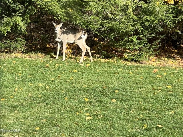 100 Stewart Bridge Road, Hadley, NY 12835