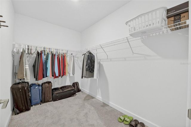 17334 HOLLY WELL AVENUE, Wimauma, FL 33598