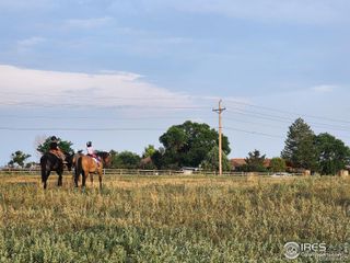 123 County Road 19- Lot 1, Fort Collins, CO 80521