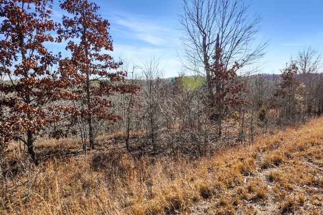 61 Shores Trail, Stewart, TN 37175