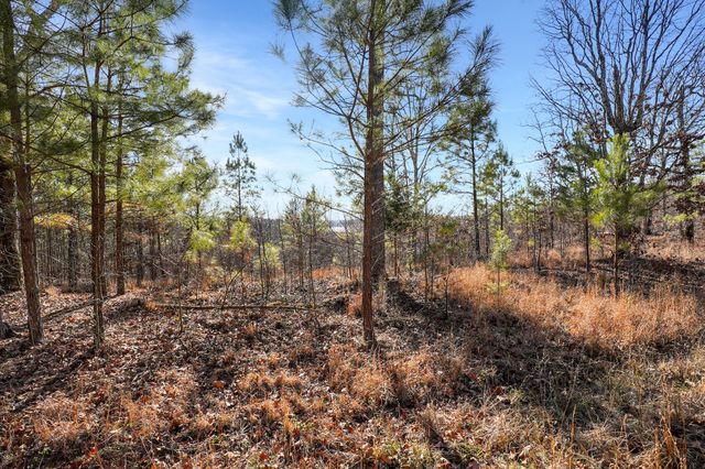 61 Shores Trail, Stewart, TN 37175