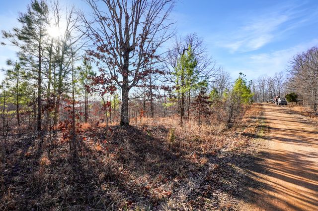 61 Shores Trail, Stewart, TN 37175