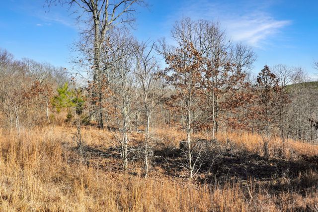 61 Shores Trail, Stewart, TN 37175