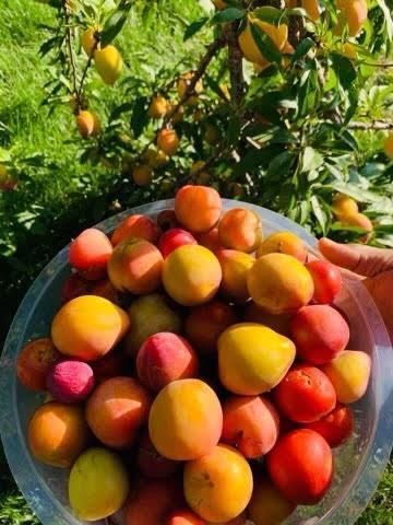 60439 Fairway Court, Prairie Du Chien, WI 53821