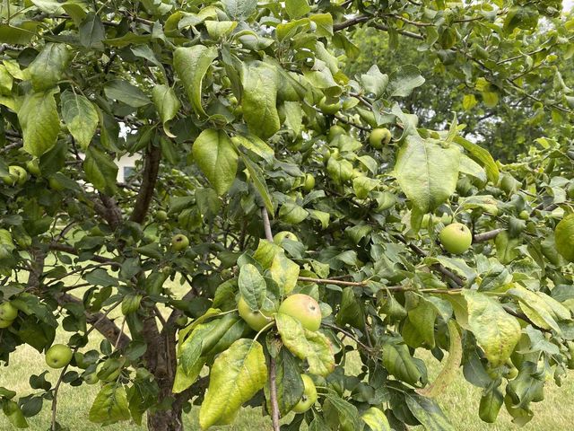 60439 Fairway Court, Prairie Du Chien, WI 53821