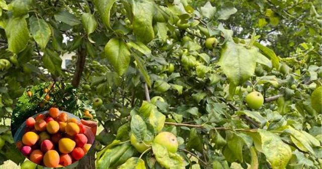 60439 Fairway Court, Prairie Du Chien, WI 53821