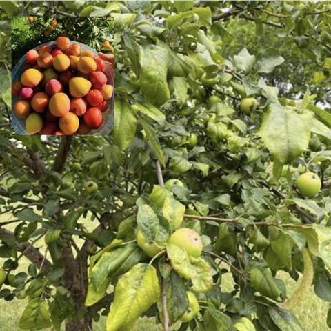 60439 Fairway Court, Prairie Du Chien, WI 53821