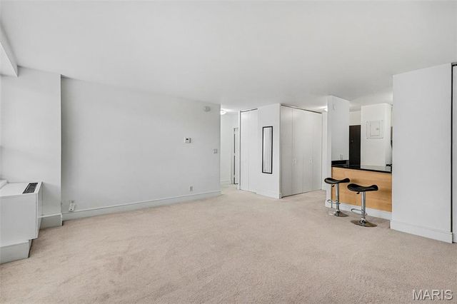 210 N 17th Street 204, St Louis, MO 63103