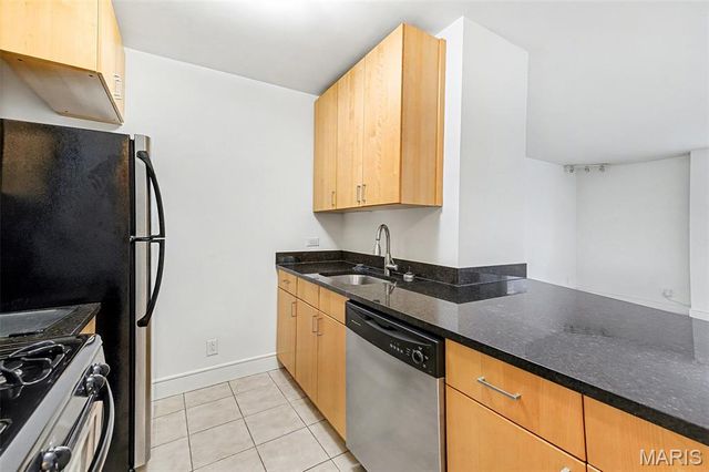 210 N 17th Street 204, St Louis, MO 63103