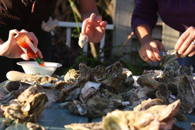 566 Yucca Ave., Garden City Beach, SC 29576