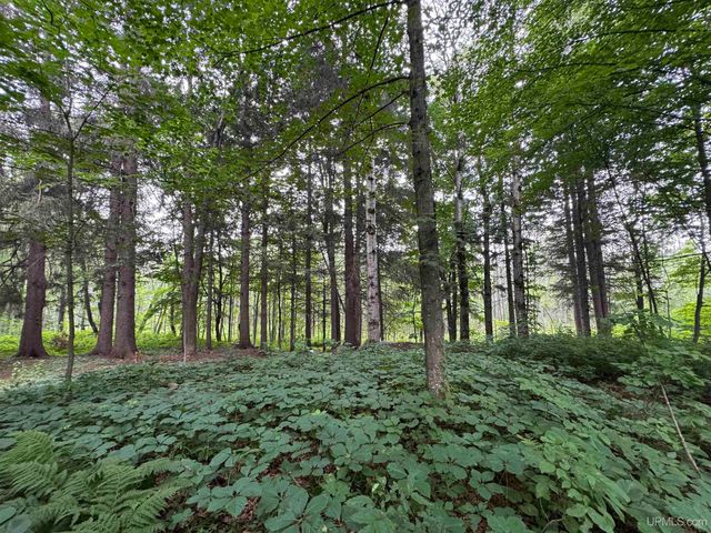 5305 E Sunset Road, Ironwood, MI 49938