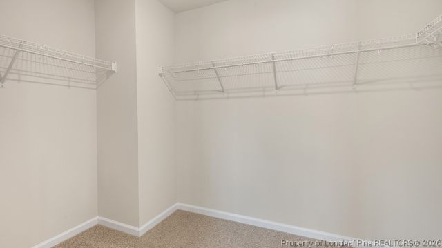 3072 Platinum Circle, West End, NC 27376