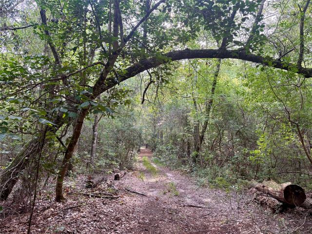 516 County Road 4800, Warren, TX 77664