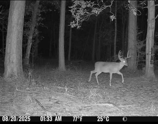 516 County Road 4800, Warren, TX 77664