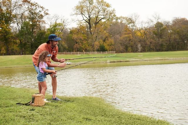 709 Lost Woods Way, Mckinney, TX 75071