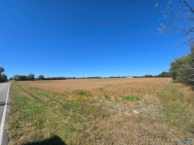 275 Ed Baeder Road, Hazel Green, AL 35750