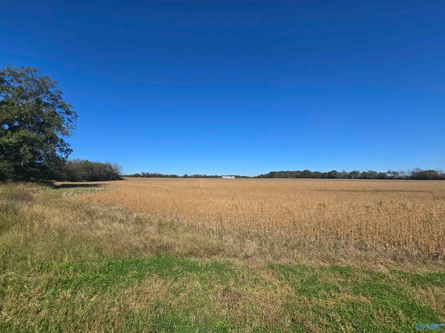 275 Ed Baeder Road, Hazel Green, AL 35750