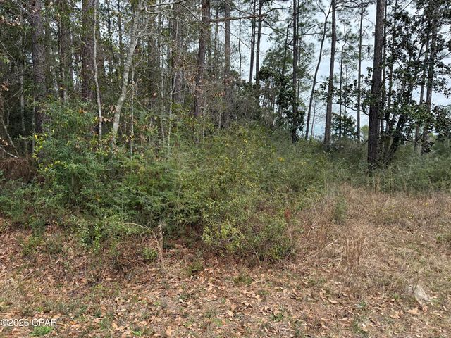 00 Petersen Point Road, Milton, FL 32583