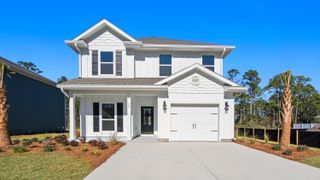 15 Nellie Preserve Lane, Santa Rosa Beach, FL 32459
