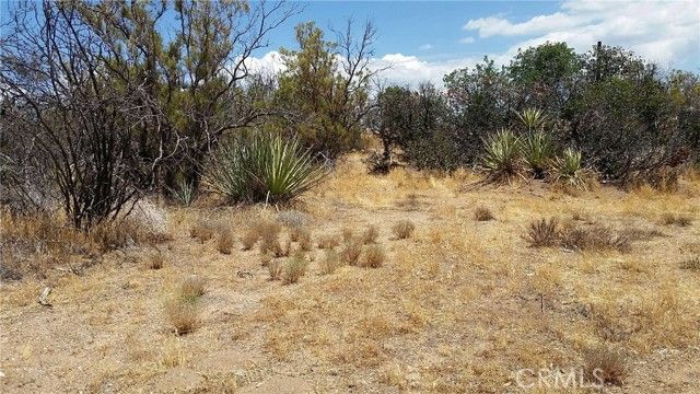 432285 TERWILLIGER Road, Anza, CA 92539