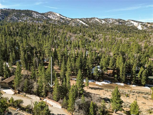43869 Mendocino Drive, Big Bear Lake, CA 92315