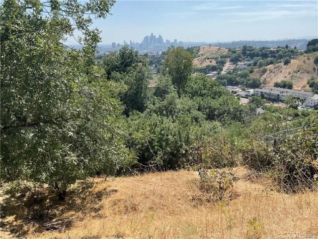 4128 Turquoise, Lincoln Heights, CA 90032