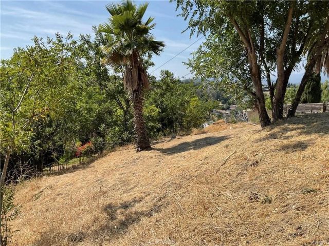 4128 Turquoise, Lincoln Heights, CA 90032