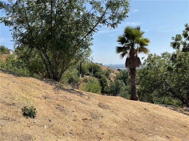 4128 Turquoise, Lincoln Heights, CA 90032