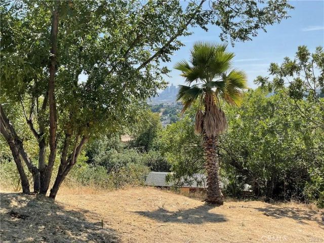 4128 Turquoise, Lincoln Heights, CA 90032