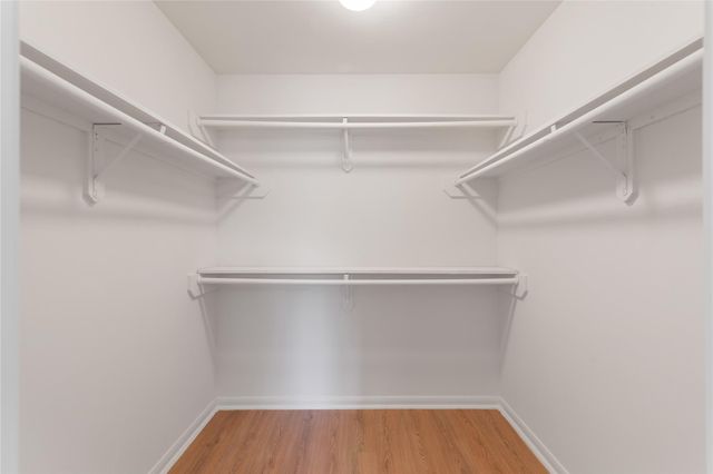 1216 Cleveland Street, Houston, TX 77019