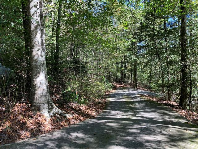 9 Black Bear Mountain Trail, Suches, GA 30572