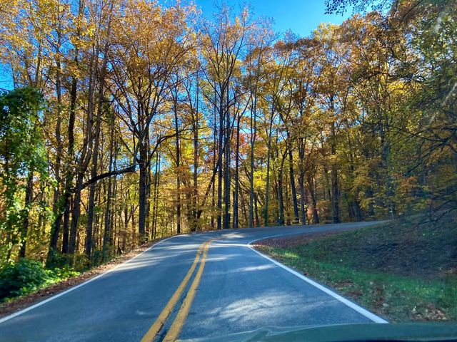 9 Black Bear Mountain Trail, Suches, GA 30572