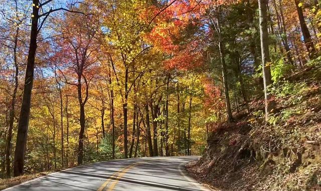 9 Black Bear Mountain Trail, Suches, GA 30572