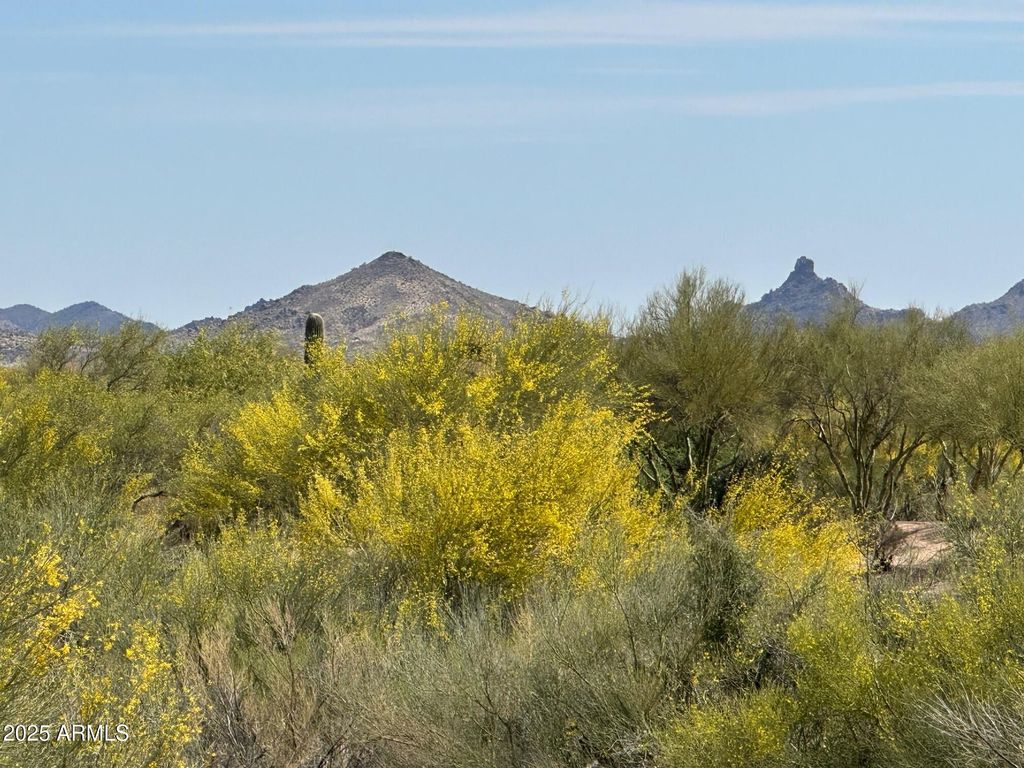 Image 3 of property listing at 37353 N 105TH Place 81, Scottsdale, AZ 85262