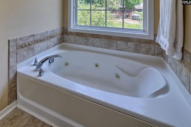 256 Mary Drive, Chapin, SC 29036