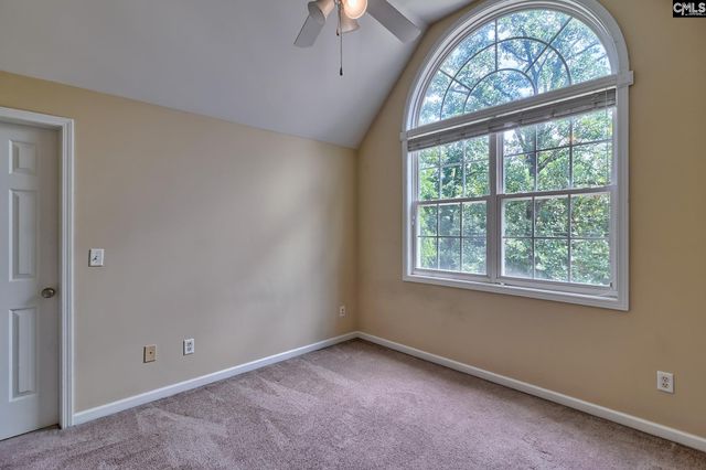 256 Mary Drive, Chapin, SC 29036