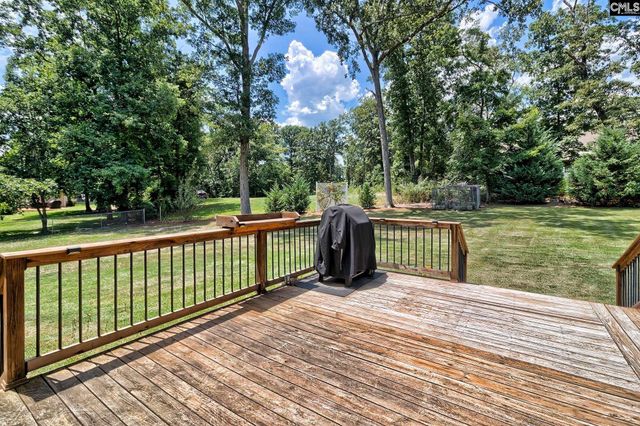 256 Mary Drive, Chapin, SC 29036