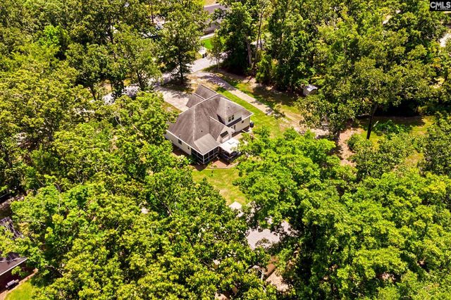 256 Mary Drive, Chapin, SC 29036