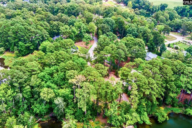 256 Mary Drive, Chapin, SC 29036