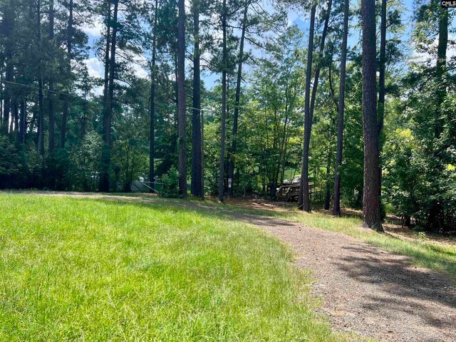 256 Mary Drive, Chapin, SC 29036